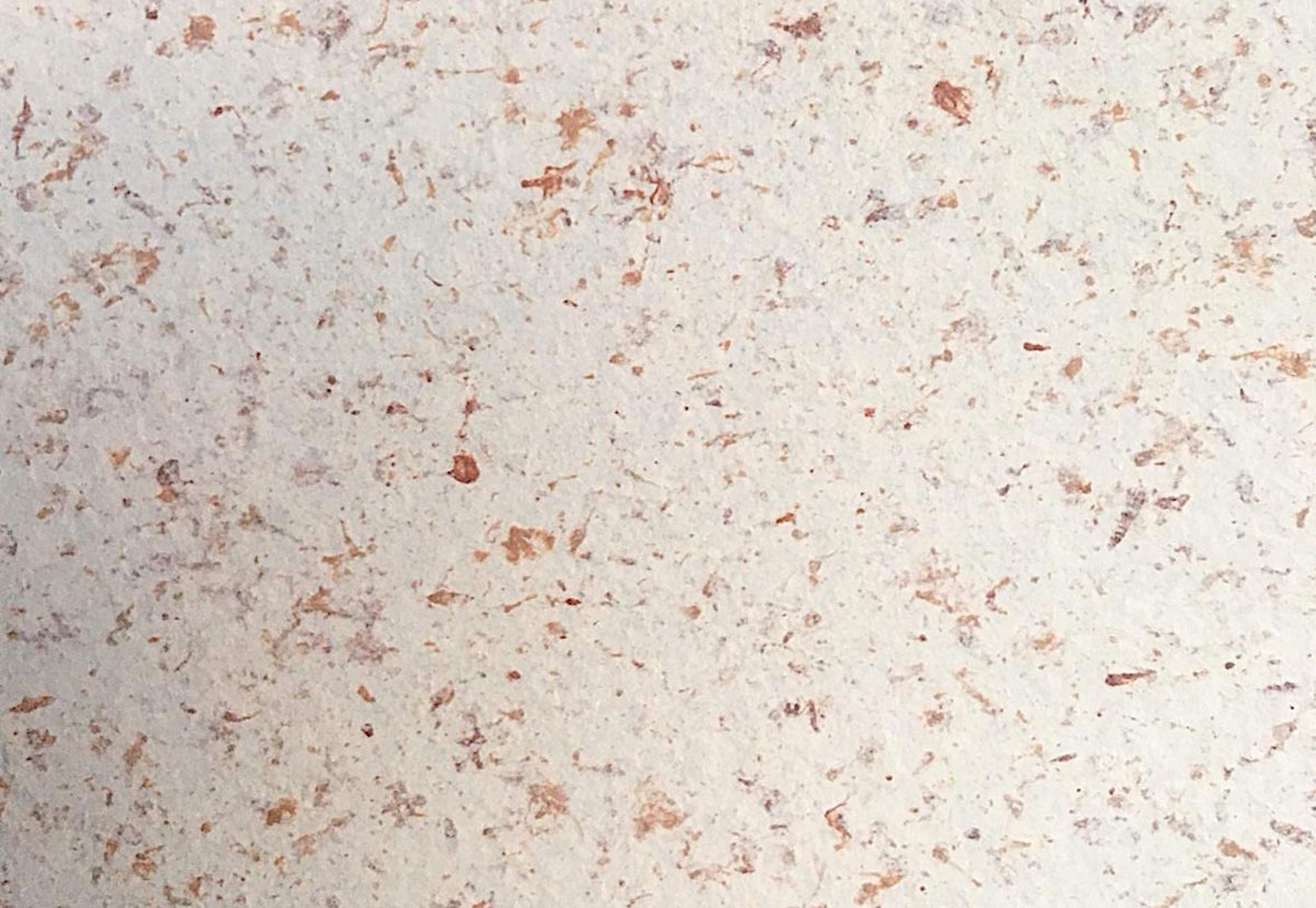 Limestone Countertop Color by Kitchen & Bath Restoration in Houston Texas